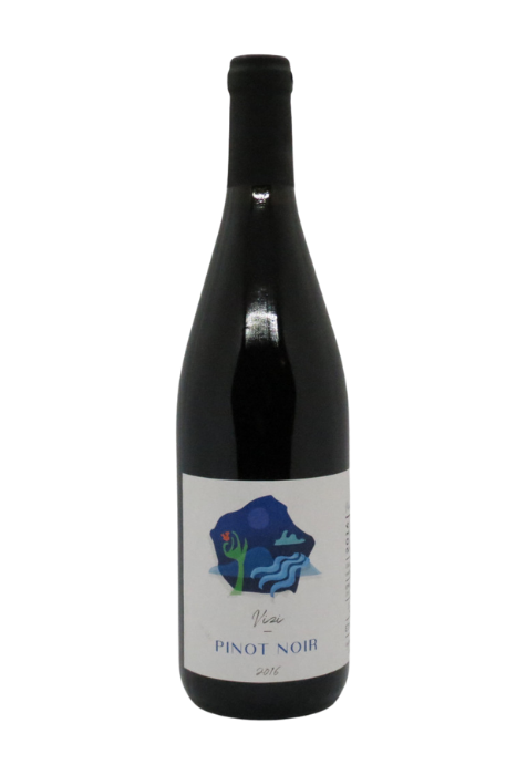 Vizi Károly, Pinot Noir, Budapest 2016