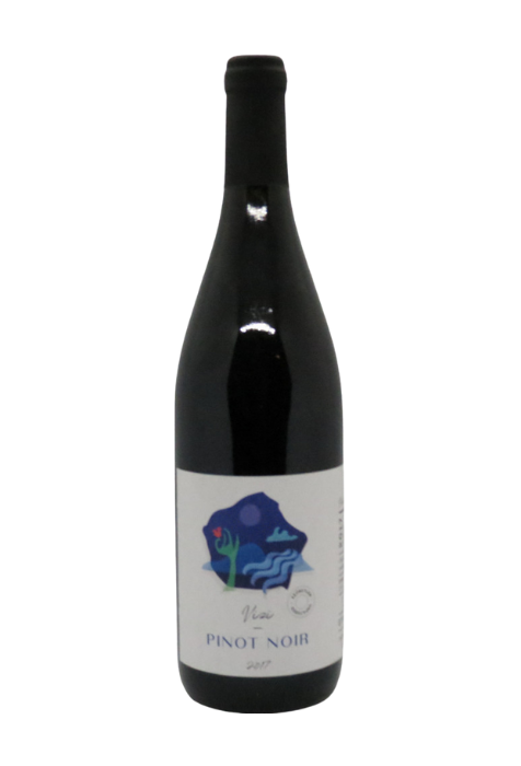 Vizi Károly, Pinot Noir, Budapest 2017